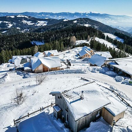 1A Chalet Eck - Wandern, Grillen, Panorama Sauna! Klippitztorl Dış mekan fotoğraf