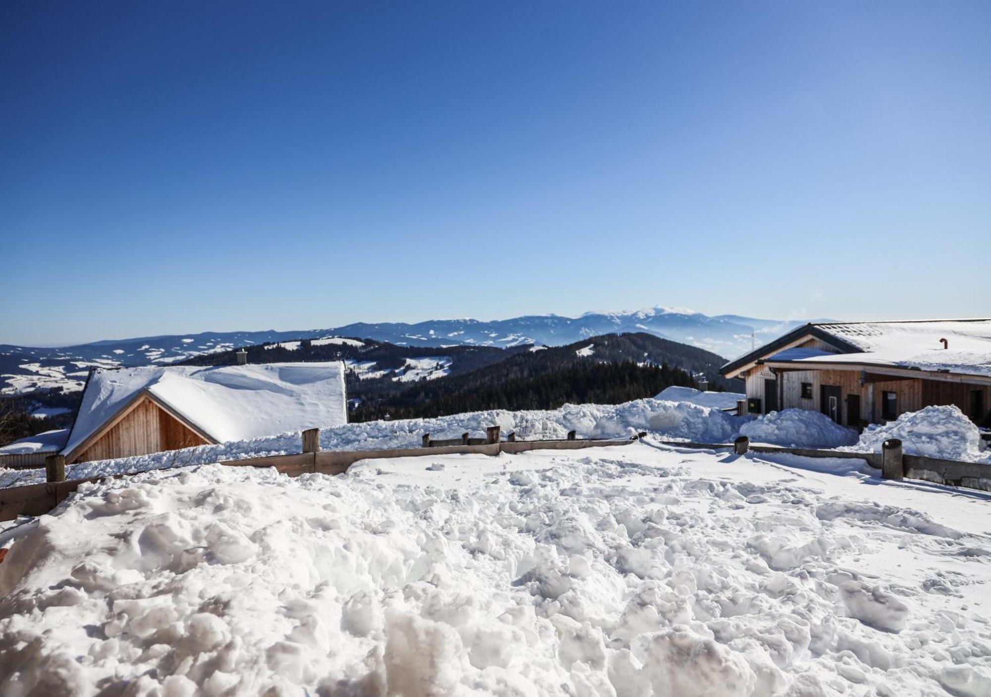 1A Chalet Eck - Wandern, Grillen, Panorama Sauna! Klippitztorl Dış mekan fotoğraf
